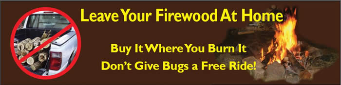 Leave Your Firewood At Home; Buy it Where You Burn it;Don't Give Bugs a Free Ride 