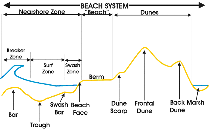 characteristics of typical beach system showing bar, trough, beach face, surf zone, berm, and dunes